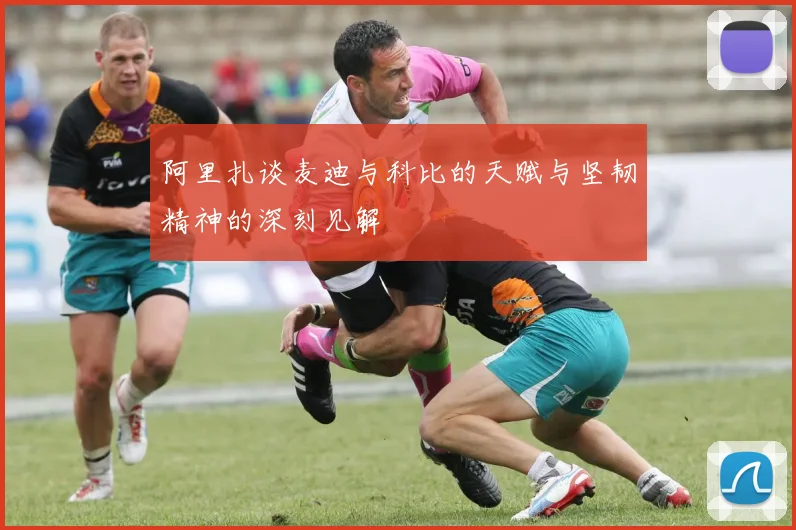 阿里扎谈麦迪与科比的天赋与坚韧精神的深刻见解