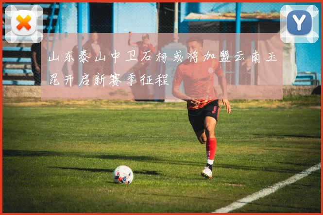 山东泰山中卫石柯或将加盟云南玉昆开启新赛季征程