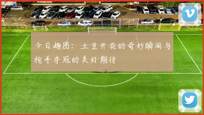 今日趣图：土豆开花的奇妙瞬间与枪手夺冠的美好期待