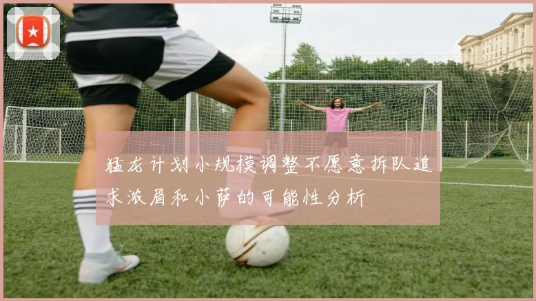 猛龙计划小规模调整不愿意拆队追求浓眉和小萨的可能性分析